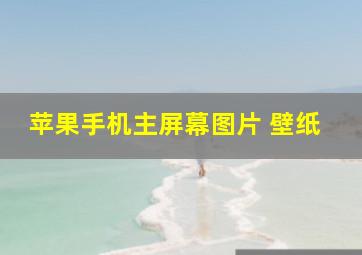 苹果手机主屏幕图片 壁纸